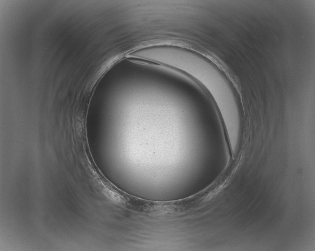 X0000080710993200701021024