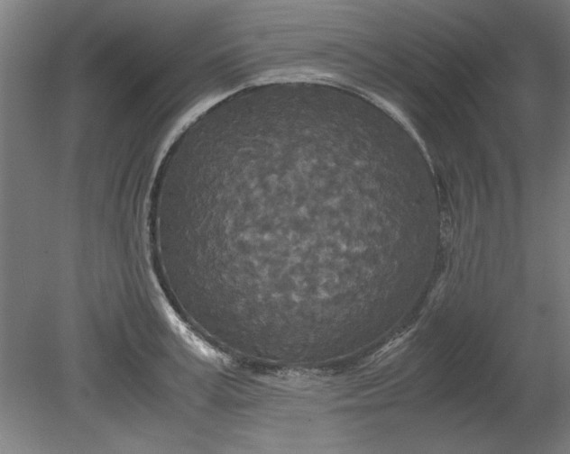 X0000080710995200701021024