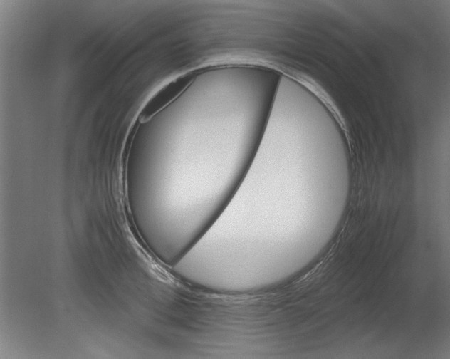 X0000080710996200701021024