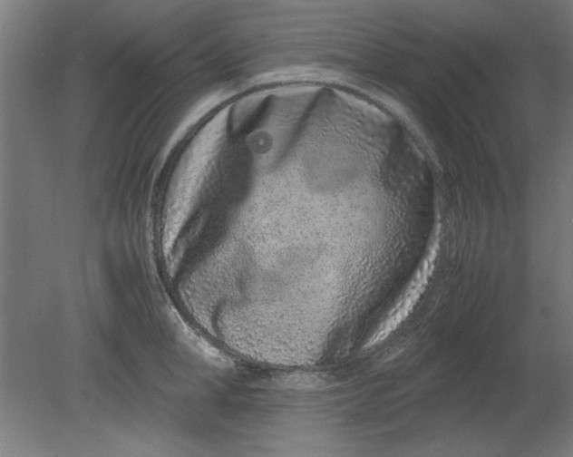 X0000080710998200701021023