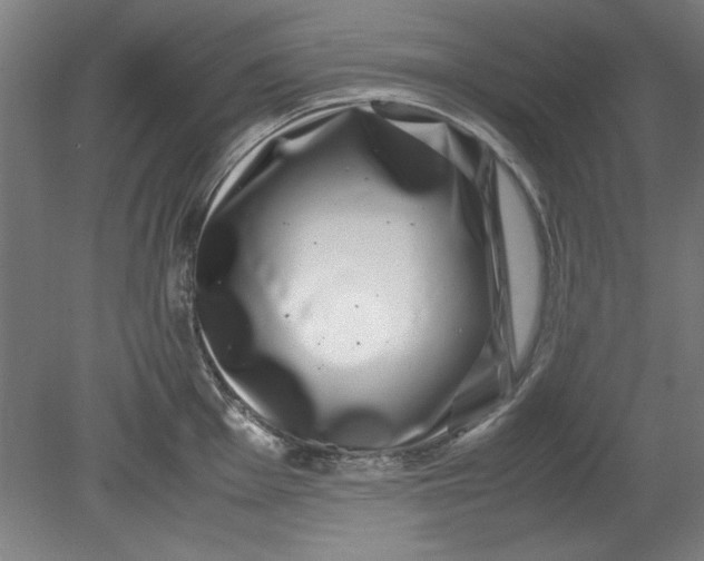 X0000080711001200701021023