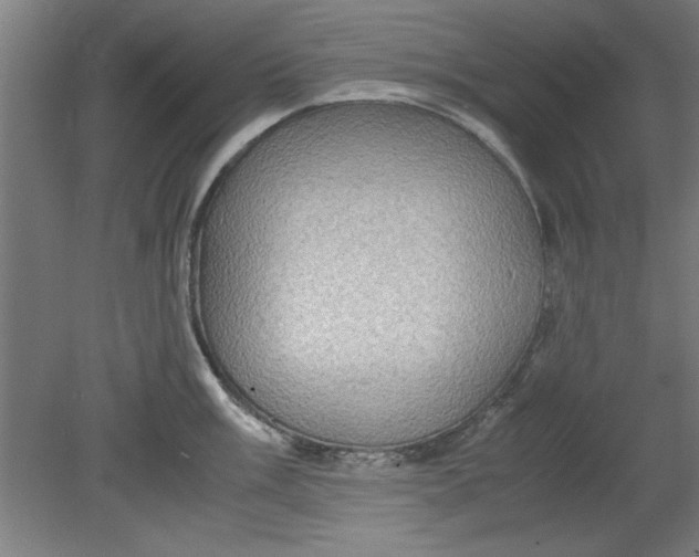 X0000080711003200701021023