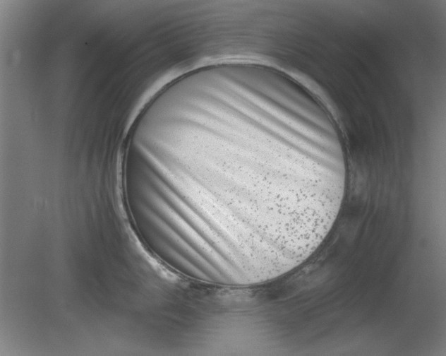 X0000080711006200701021023