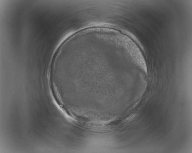 X0000080711007200701021023