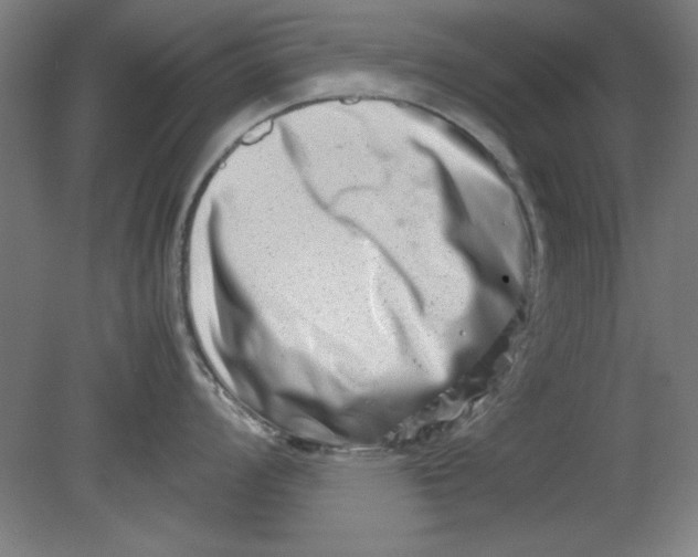 X0000080711008200701021023