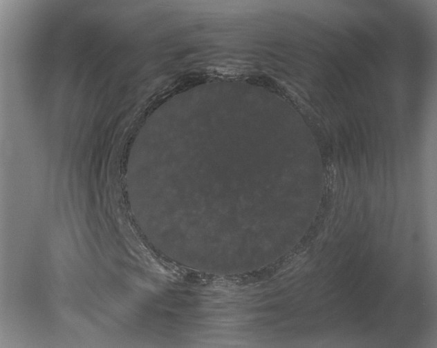 X0000080711009200701021023