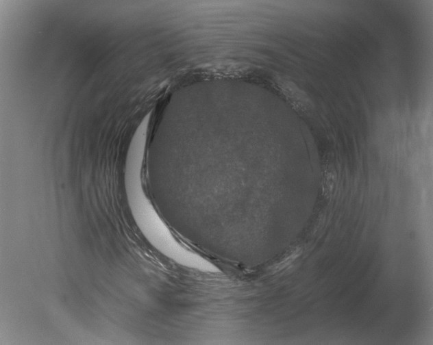 X0000080711010200701021023