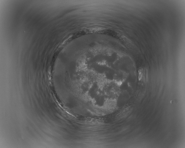 X0000080711011200701021023