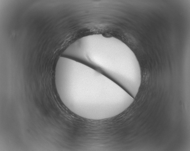 X0000080711012200701021023