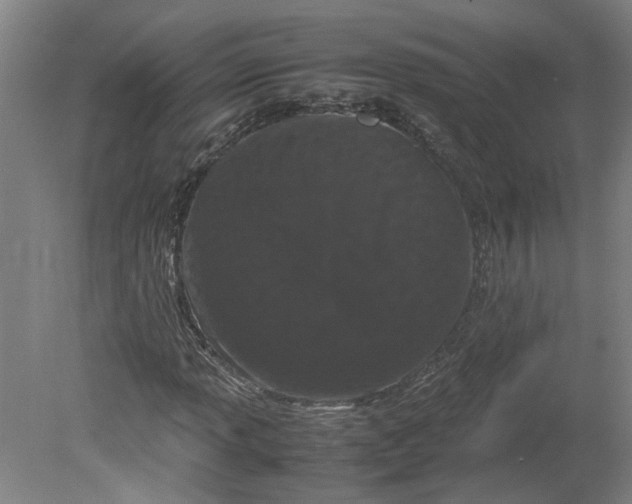 X0000080711013200701021023