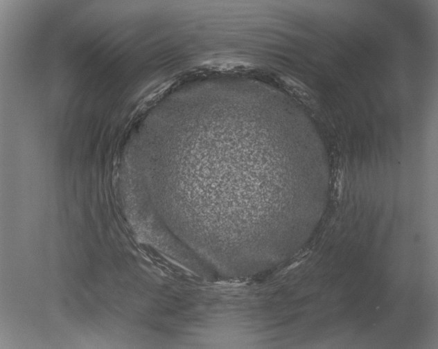 X0000080711014200701021023