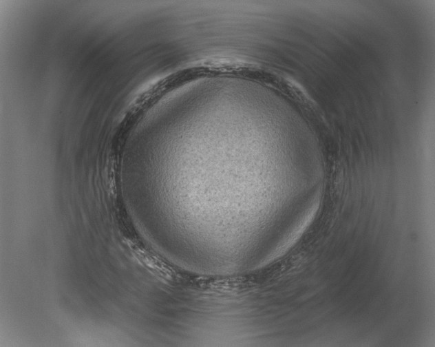 X0000080711016200701021023