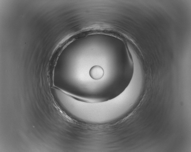 X0000080711018200701021023