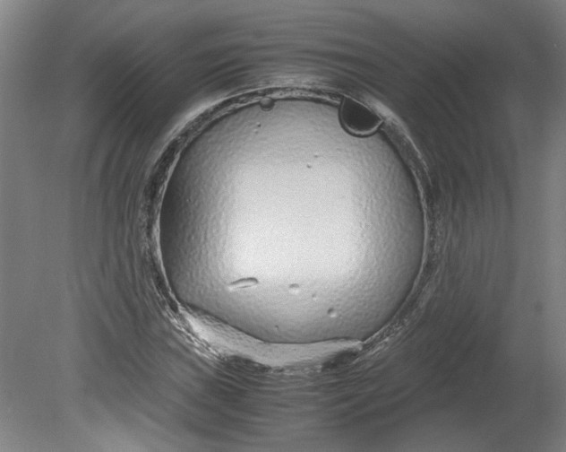 X0000080711019200701021023