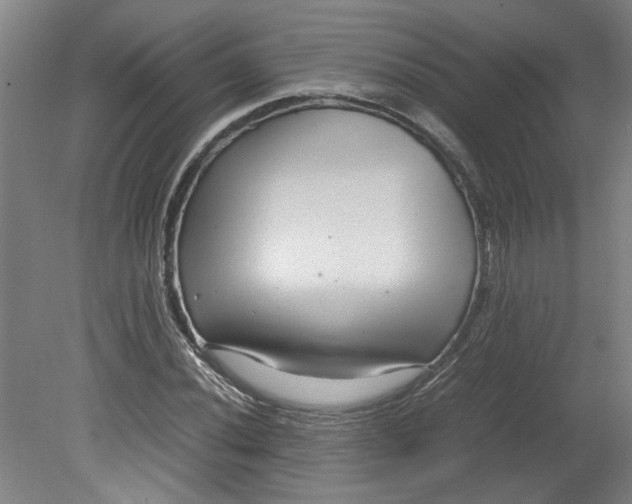 X0000080711020200701021023