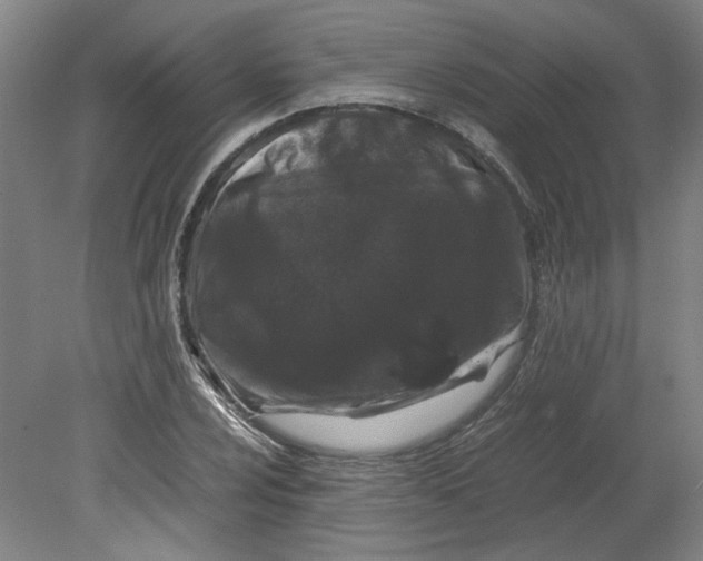 X0000080711024200701021023