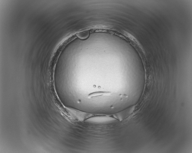 X0000080711027200701021023