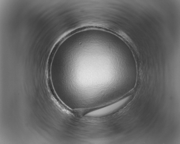 X0000080711028200701021023