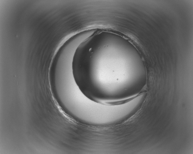 X0000080711030200701021023