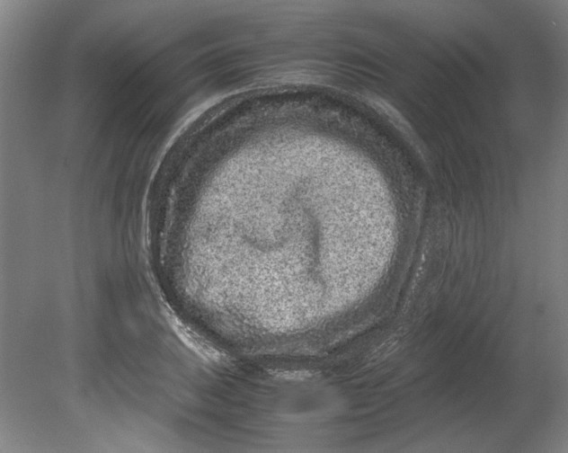 X0000080711031200701021023