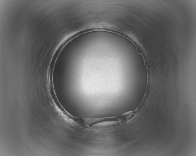 X0000080711032200701021023