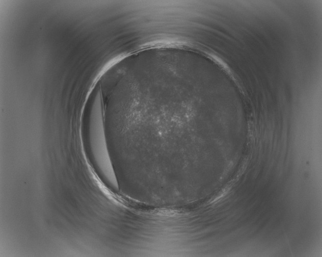 X0000080711034200701021023