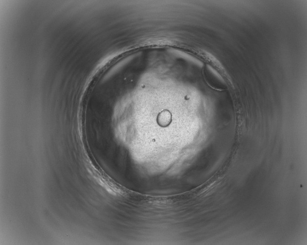 X0000080711035200701021023