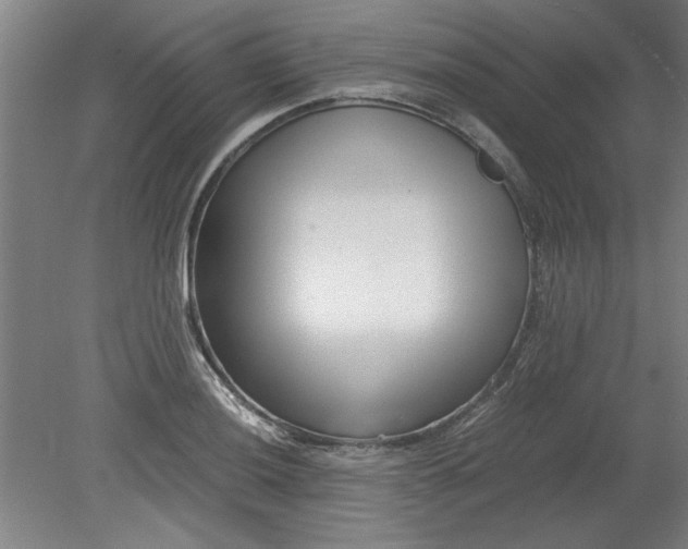 X0000080711036200701021023