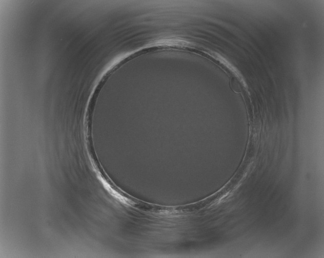 X0000080711037200701021023