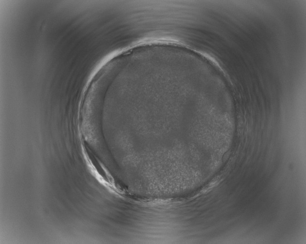 X0000080711038200701021023