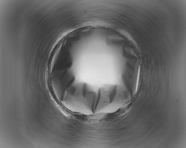 X0000080711040200701021023