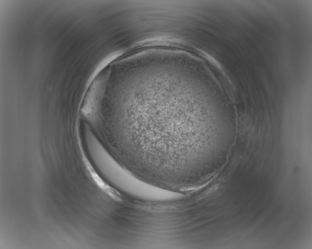 X0000080711042200701021023