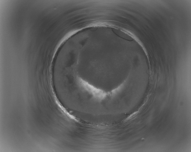 X0000080711045200701021023