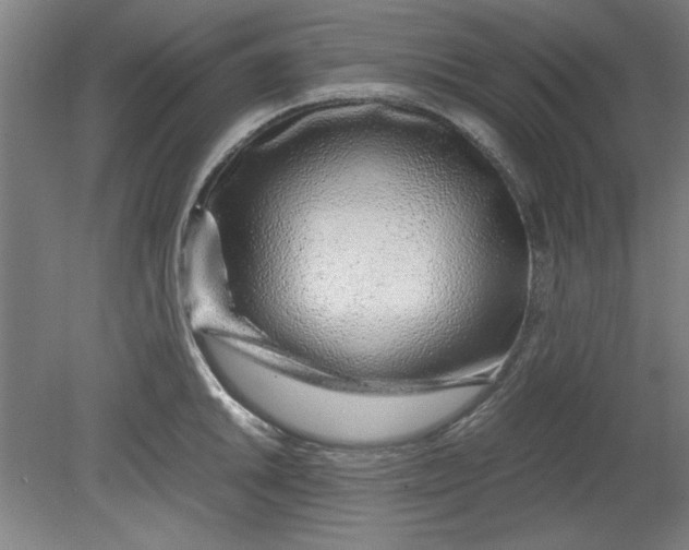 X0000080711046200701021023