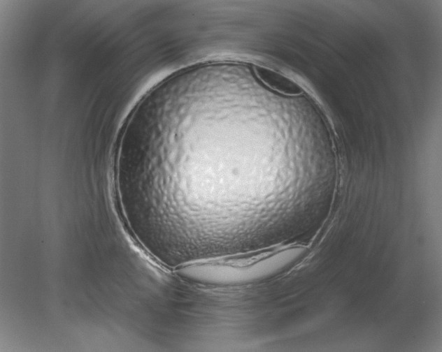 X0000080711048200701021023