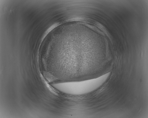 X0000080711050200701021023