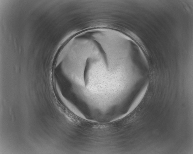 X0000080711051200701021023