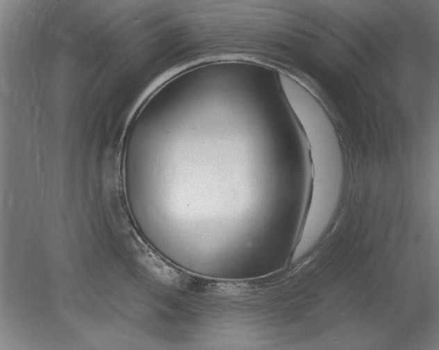 X0000080711052200701021023