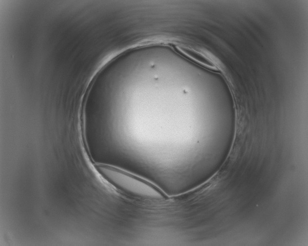 X0000080711055200701021023