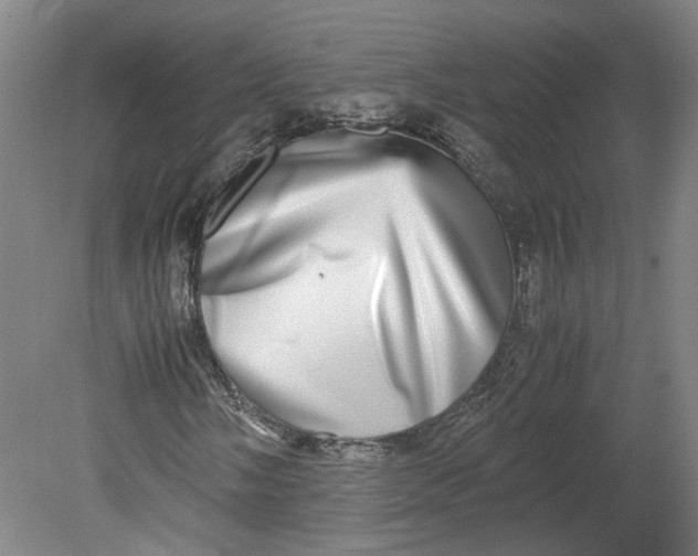 X0000080711058200701021022