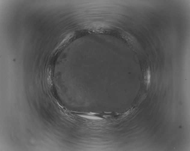 X0000080711060200701021022