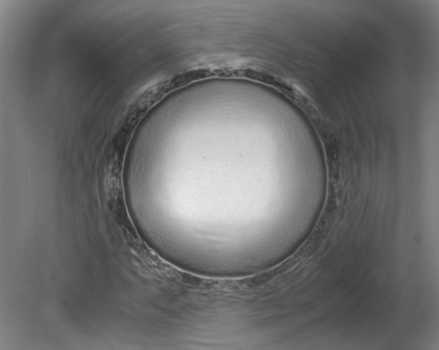 X0000080711063200701021022