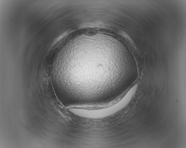 X0000080711064200701021022