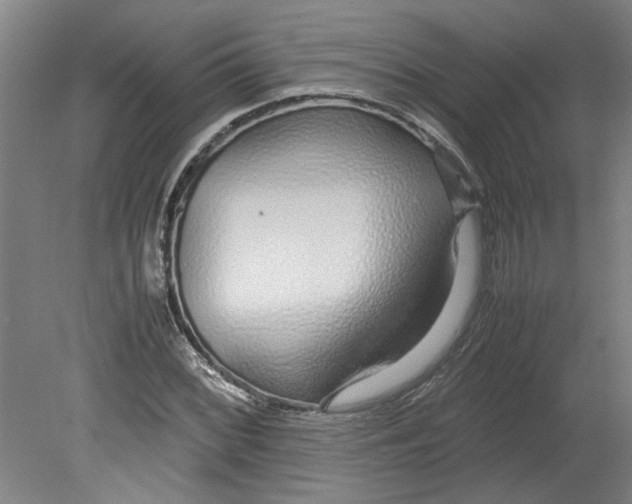 X0000080711068200701021022