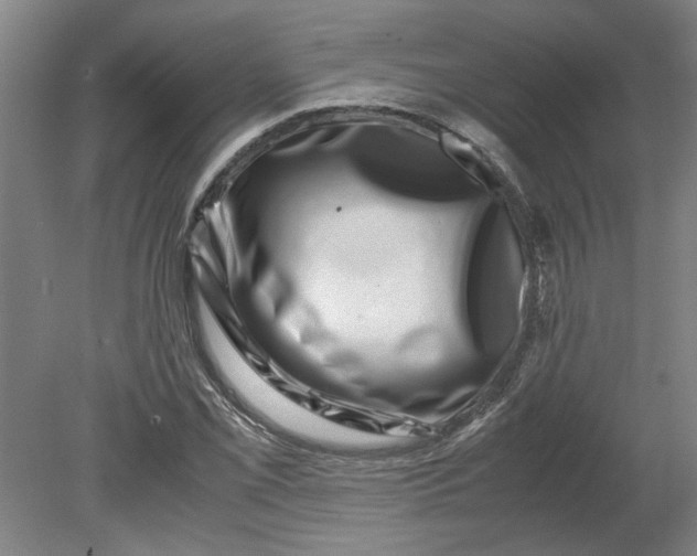 X0000080711069200701021022