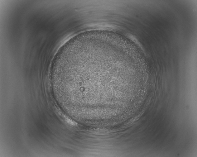 X0000080711071200701021022