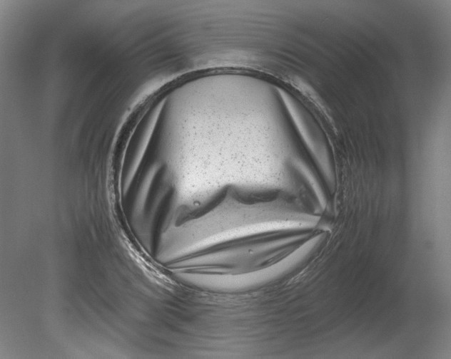 X0000080711072200701021022