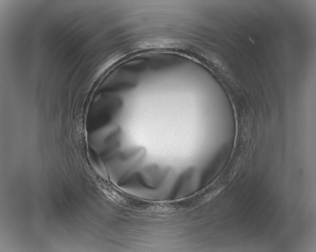 X0000080711073200701021022