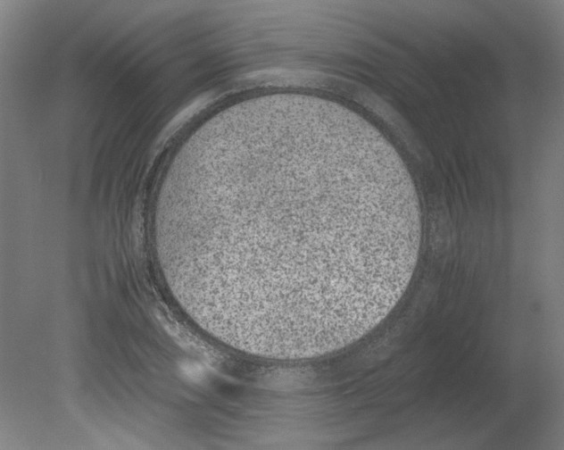 X0000080711074200701021022