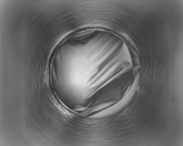 X0000080711076200701021022